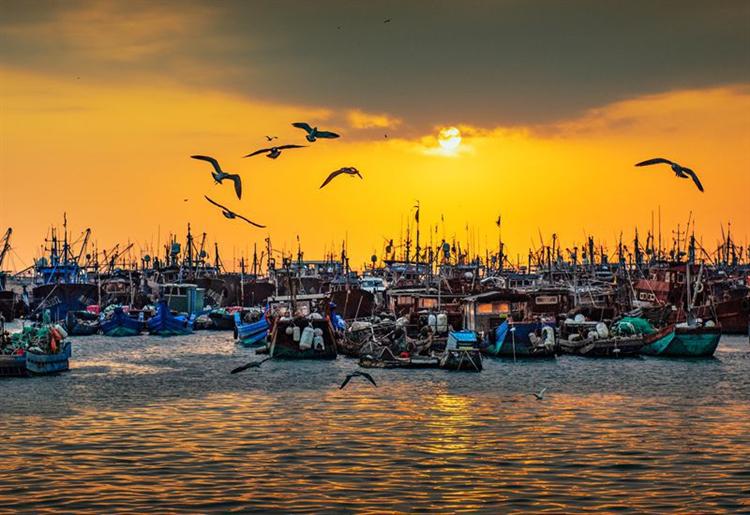 东山岛冬古村的山舍时光
